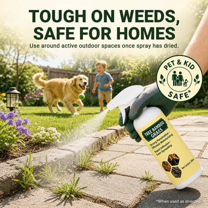 Fast-Acting Natural Weed Killer with Long-Lasting Protection